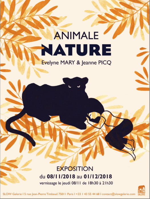 animale nature - slow galerie