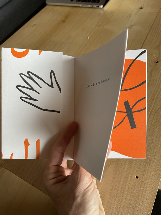 sur le bout de la langue - mots français d'origine arabe