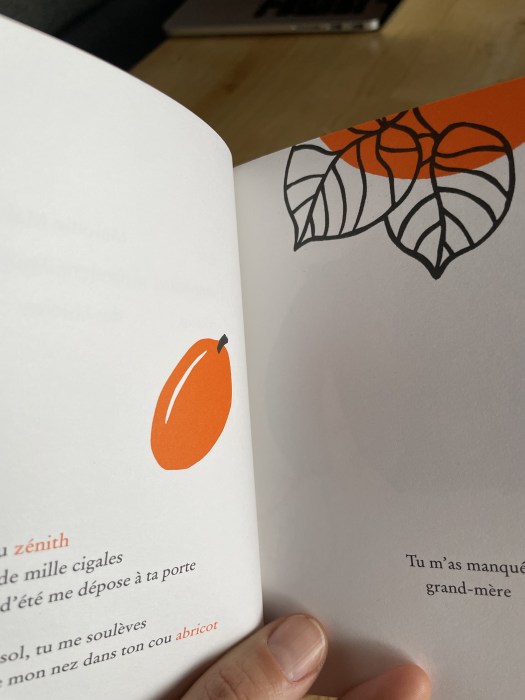 sur le bout de la langue - mots français d'origine arabe