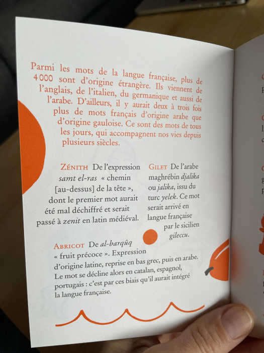 sur le bout de la langue - mots français d'origine arabe