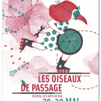 oiseaux de passage