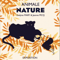 animale nature - slow galerie
