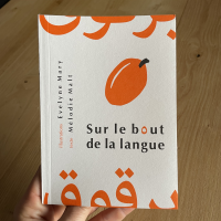 sur le bout de la langue - mots français d'origine arabe